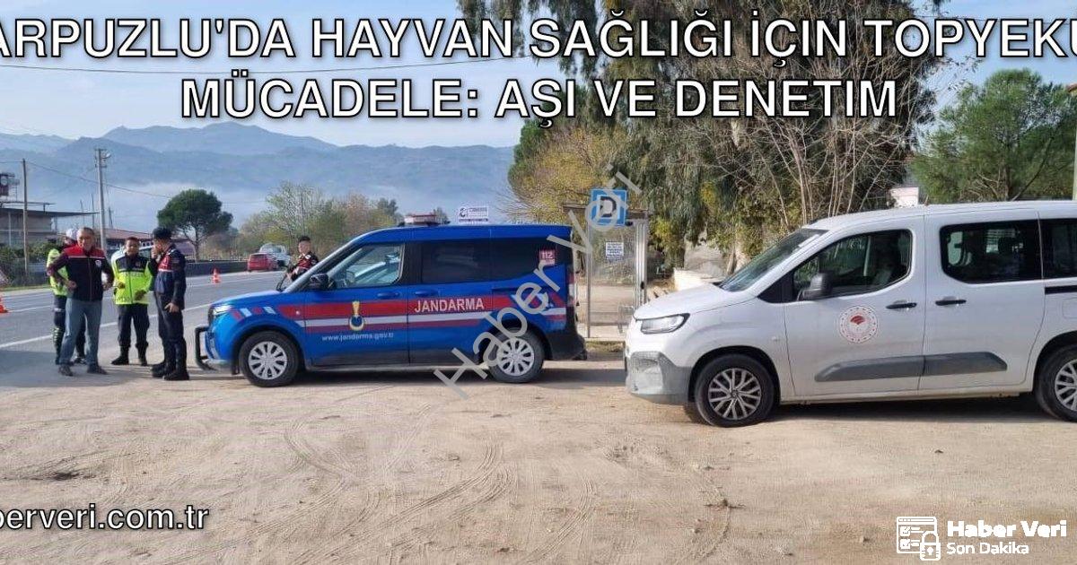 "Karpuzlu'da Hayvan Sağlığı İçin Topyekün Mücadele: Aşı ve Denetim" başlıklı haber için fotorealisti