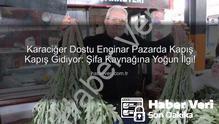 Karaciğer Dostu Enginar Pazarda Kapış Kapış Gidiyor: Şifa Kaynağına Yoğun İlgi!
