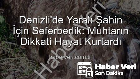 Denizli’de Yaralı Şahin İçin Seferberlik: Muhtarın Dikkati Hayat Kurtardı