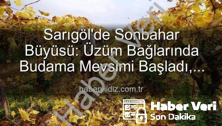 Sarıgöl’de Sonbahar Büyüsü: Üzüm Bağlarında Kartpostallık Manzara Eşliğinde Budama Çalışmaları