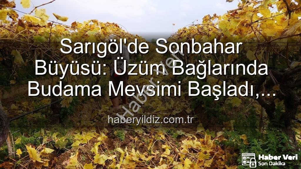 Sarıgöl üzüm bağları - Sarıgöl'de Sonbahar Büyüsü: Üzüm Bağlarında Kartpostallık Manzara Eşliğinde Budama Çalışmaları