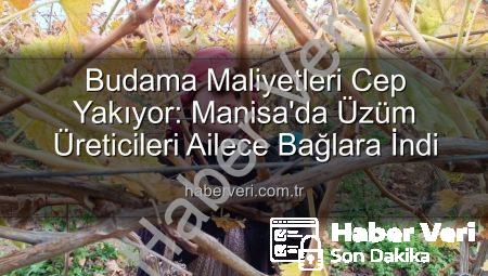 Budama Maliyetleri Cep Yakıyor: Manisa’da Üzüm Üreticileri Ailece Bağlara İndi