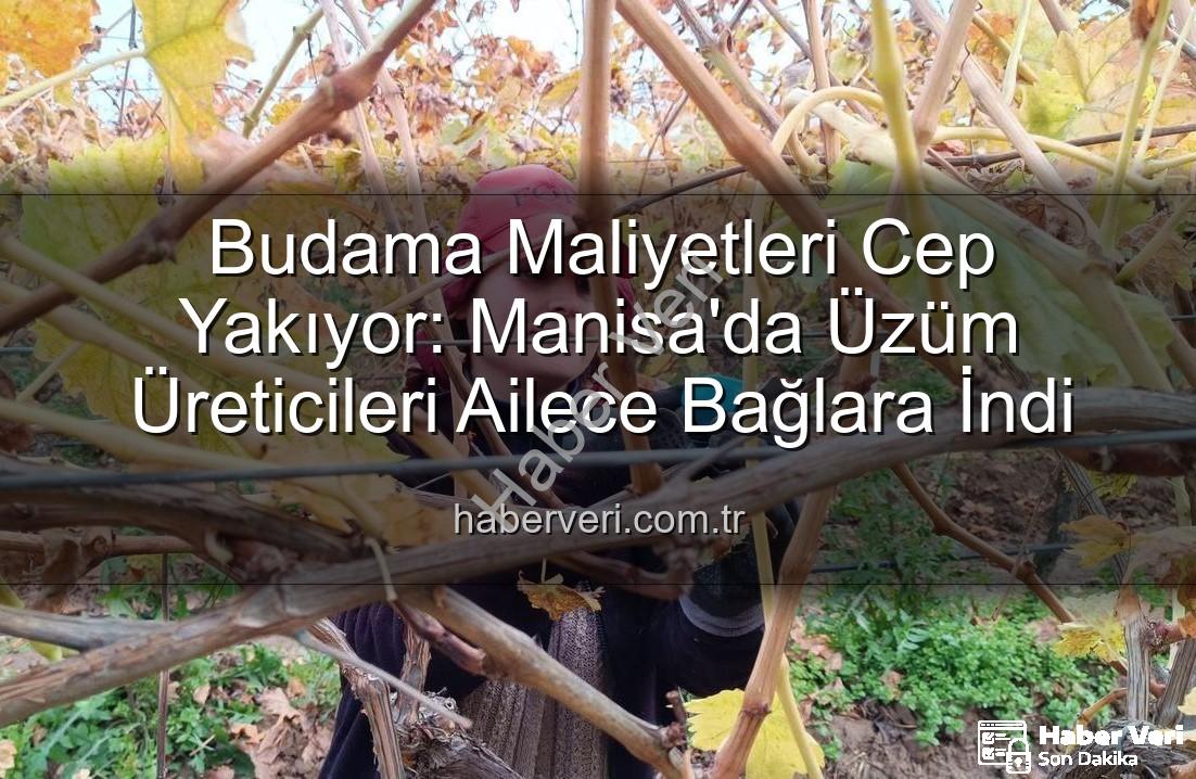 budama maliyeti - Budama Maliyetleri Cep Yakıyor: Manisa'da Üzüm Üreticileri Ailece Bağlara İndi