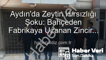 Aydın’da Bahçeden Çalınan Zeytinler Fabrikada Ele Geçirildi: 2 Şüpheli Tutuklandı