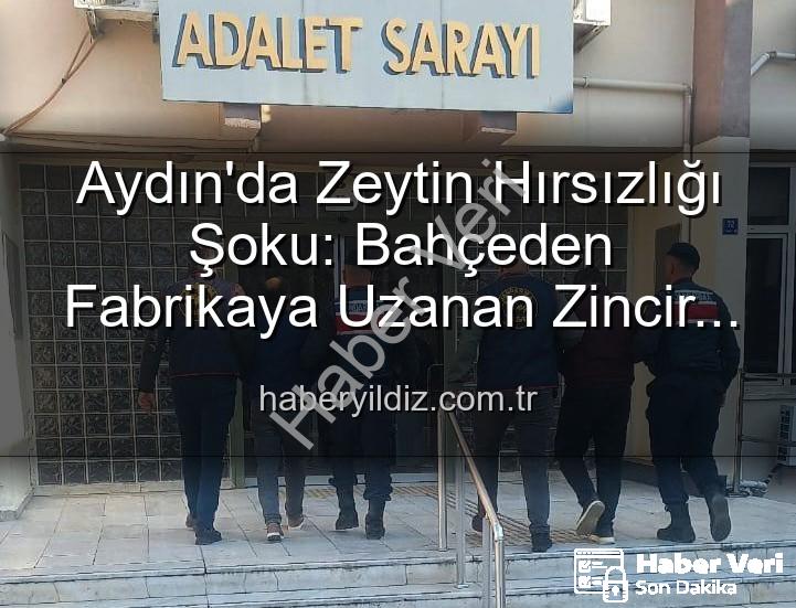 zeytin hırsızlığı - Aydın'da Bahçeden Çalınan Zeytinler Fabrikada Ele Geçirildi: 2 Şüpheli Tutuklandı