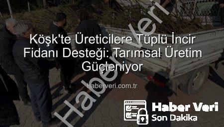 Köşk’te Üreticilere Tüplü İncir Fidanı Desteği: Tarımsal Üretim Güçleniyor