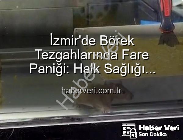 börek tezgahlarında fare - İzmir'de Börek Tezgahlarında Fare Paniği: Halk Sağlığı Tehlikeye Girdi!