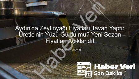 Aydın’da Zeytinyağı Fiyatları Tavan Yaptı: Üreticinin Yüzü Güldü mü? Yeni Sezon Fiyatları Açıklandı!
