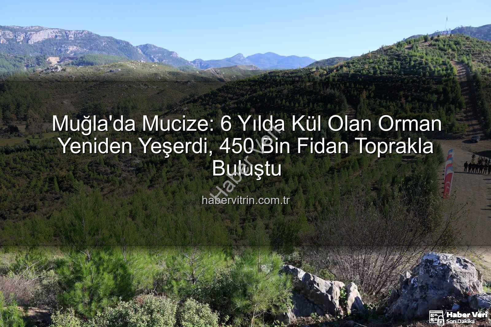 orman yangını sonrası ağaçlandırma - Dalaman'da 6 Yılda Mucize: Yanan Orman Alanları Yeniden Yeşerdi, 450 Bin Fidan Toprakla Buluştu