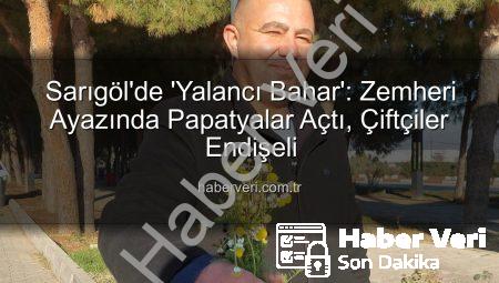 Sarıgöl’de ‘Yalancı Bahar’: Zemheri Ayazında Papatyalar Açtı, Çiftçiler Endişeli